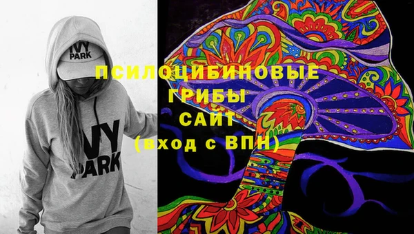 крисы Зеленодольск