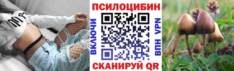 blacksprut зеркало  Коломна  Галлюциногенные грибы Cubensis 